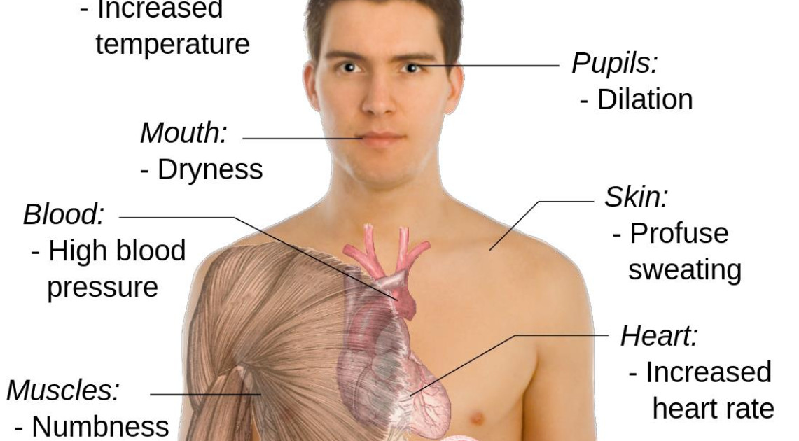 Dit Pengawasan Napza